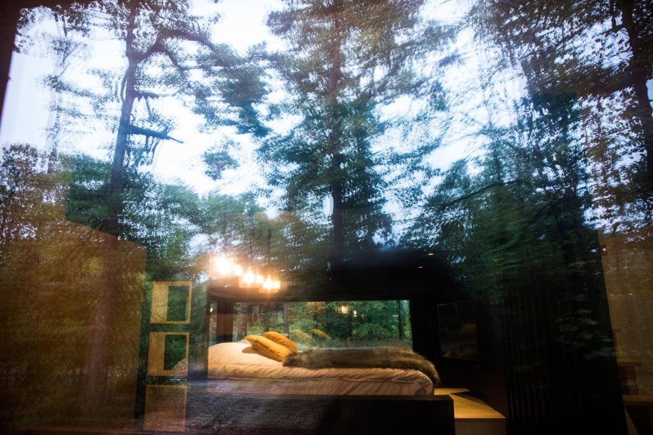 Forest Cube Oignies エクステリア 写真